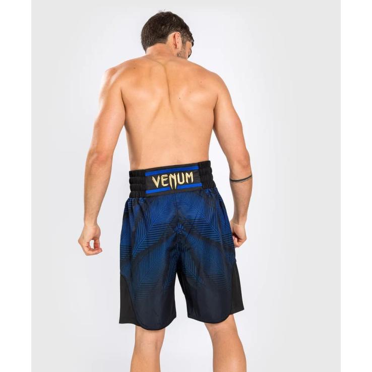 Pantaloncini da boxe Venum Phantom Loma neri / blu